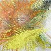 Farbe u. Struktur
