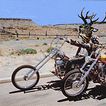 Born to be Wild