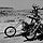 Born to be Wild